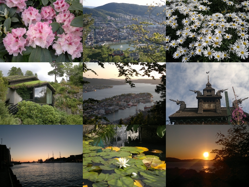 Bergen 12
