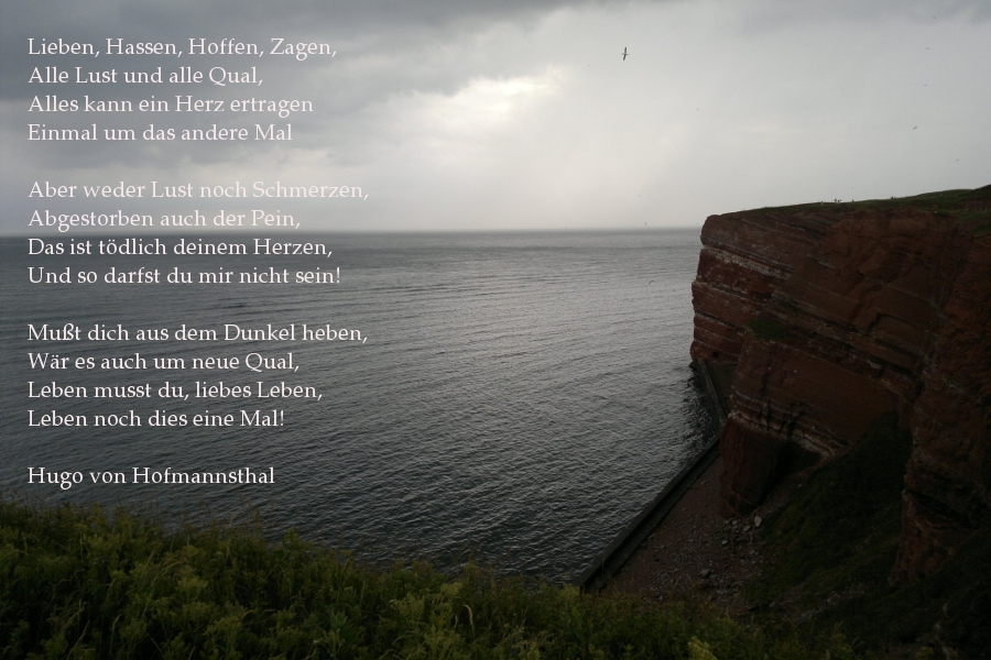 Hofmannsthal - Lieben, Hassen, Hoffen, Zagen