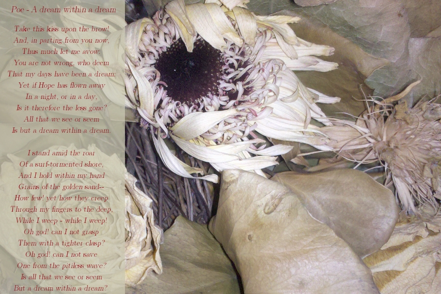 Poe - A Dream within a Deam